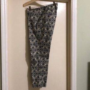 Navy and cream spring pant